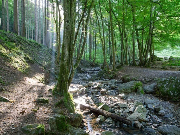 5, Comet Glamping Tent, Ardennes, Ardennes