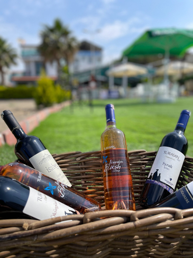 Food & Drinks 3, Colophon Beach, Menderes