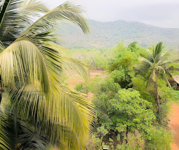 Others 4, Jeet Hostel & Rooms, South Goa