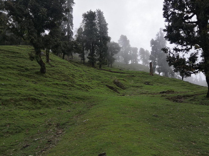 Others 3, Baniyakund Bungalows, Chamoli