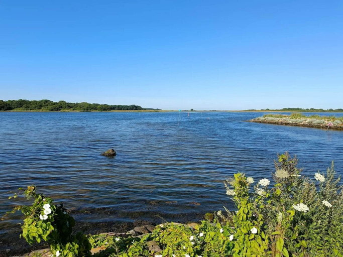 Others 3, person holiday home in Otterup, Nordfyns