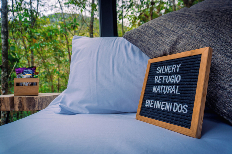 Room 3, Silvery Bungalows en el Bosque, San Carlos