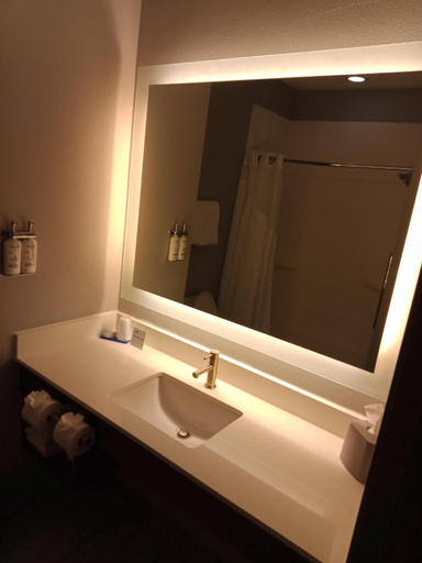 Bathroom, Holiday Inn Express & Suites BONHAM, Fannin