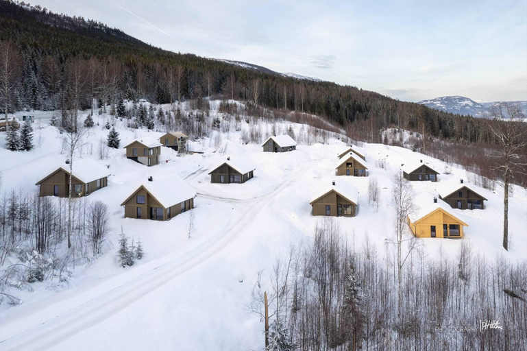 3, Cozy Family Cabin Ski centre, shuttle bus, Krødsherad