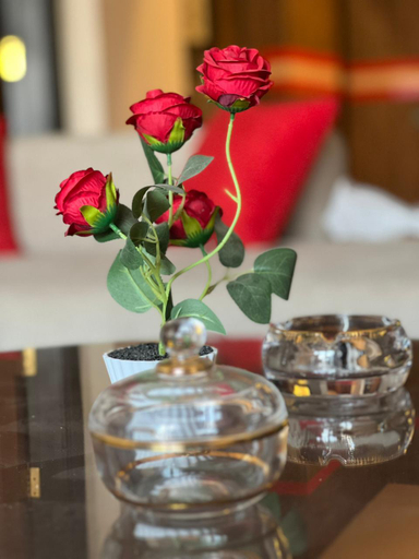 Food & Drinks 4, Luxury Apartment Partial Nile View Cairo, Ad-Duqi