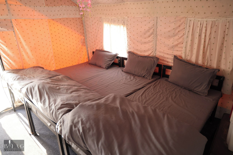 Bedroom 3, The Jungle Mist Retreats & Resort, Garhwal