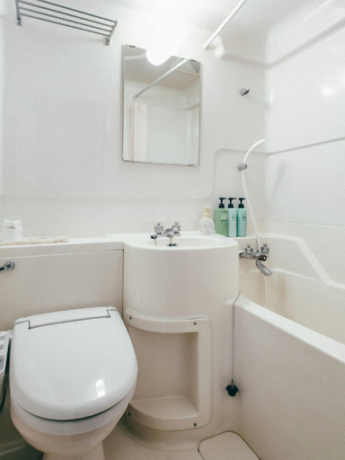 Bathroom 3, Toyohashi Station Hotel, Toyohashi