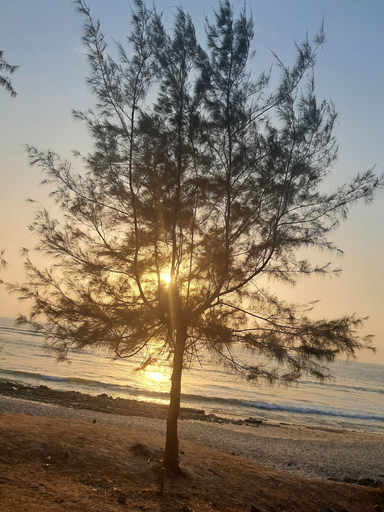 Exterior 4, Sea view villa, Raigarh