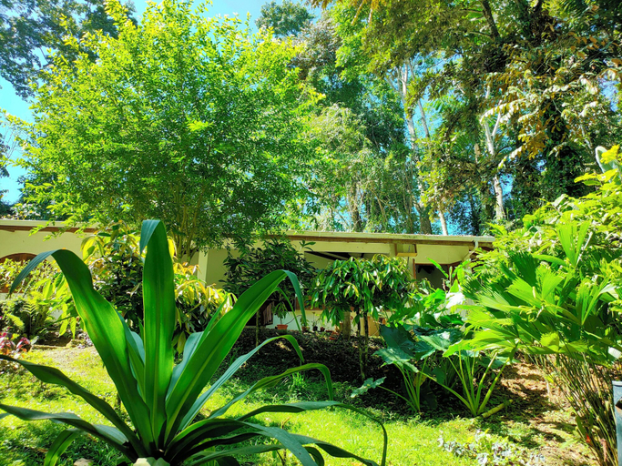 Garden view 5, FINCA ARDILLA, Talamanca