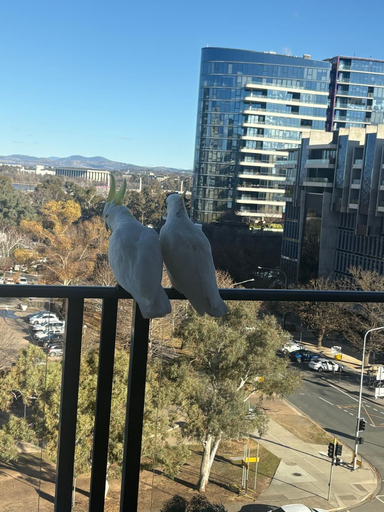 Balcony view 5, Central Lakeview Apartments, Canberra
