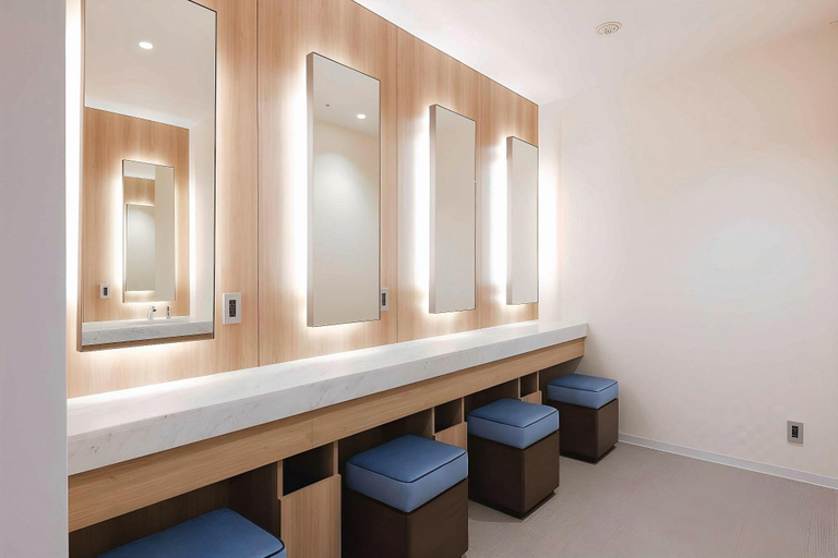 Bathroom 4, Hotel Vischio Toyama, Toyama