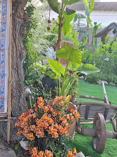 Exterior 5, paradis colibri, Vaucluse