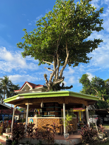 Exterior & Views 2, Terrasse Beach Resort, Mambajao