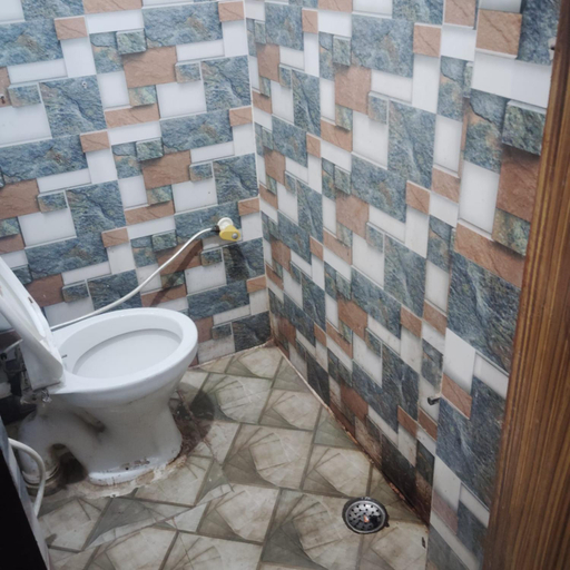 Bathroom 5, Gaurangi seva sadan, Mathura