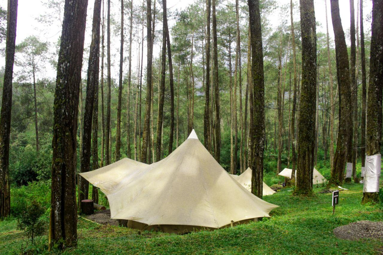 Others 3, Lembah Pinus Cikole, Bandung