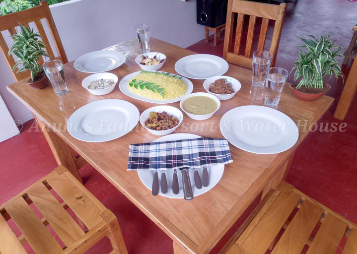 Food & Drinks 2, Anuhas Family Resort & Water House, N. Palatha Central