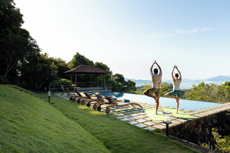 Outdoor pool, The Knightsdale Villa, Kundasale