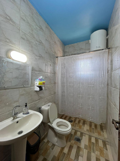 Bathroom 2, AL-Bustan House & Umm Qais , Tayybeh