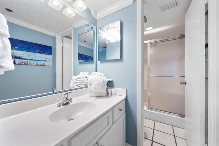Bathroom 2, Phoenix IV 4073, Baldwin