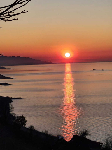 View from property, Çay Bungalov Bungalov, Ardeşen
