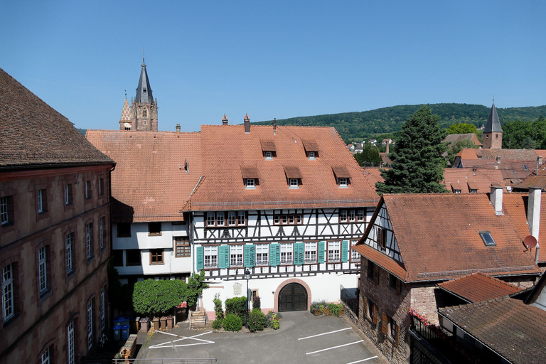 View from property 3, L'Ecrevisse, Bas-Rhin