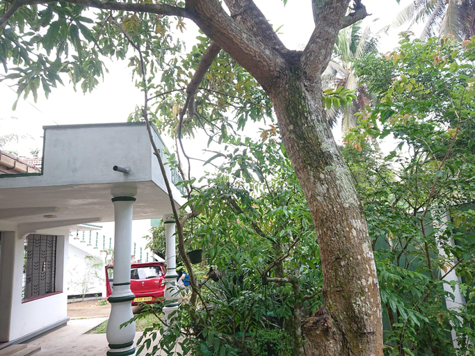 Others 5, More Attractive wonderful 1950 mid-century home with another newly built house, Habaraduwa
