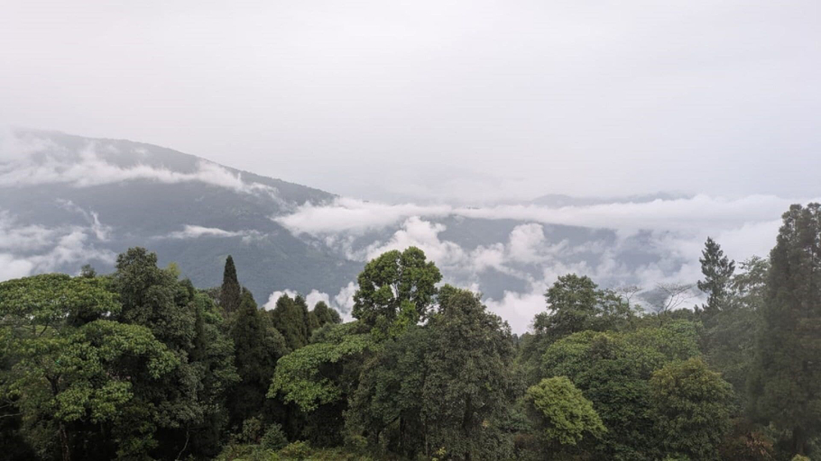 View from property 4, Rupsadeya Homestay Sittong, Darjiling