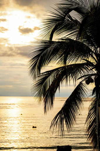 Others 4, HOTEL ISLA GRANDE, Portobelo