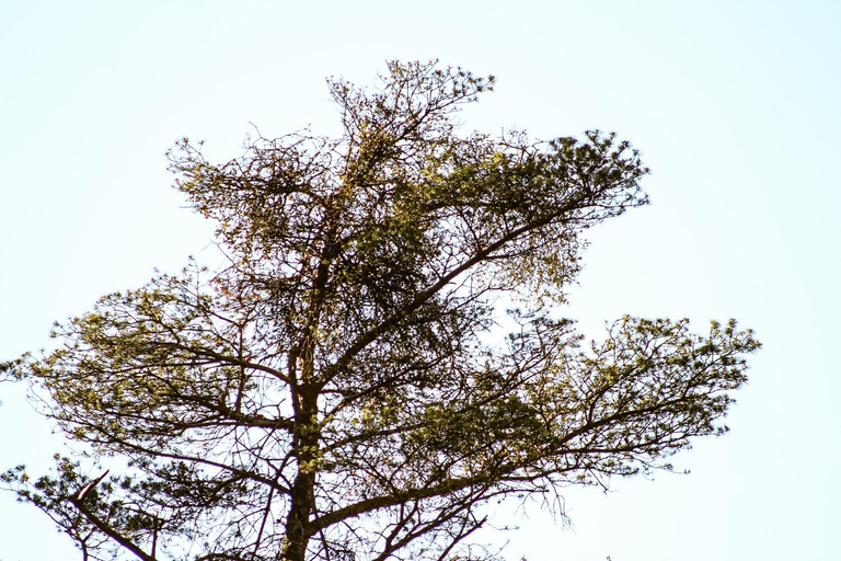 Others 4, WoodMood, Leuk