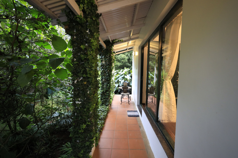 Others 5, The Tamarillo, The Nilgiris
