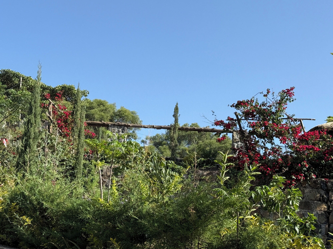 Garden 2, Hilltop Lodge - Lalibela, Semen Wello