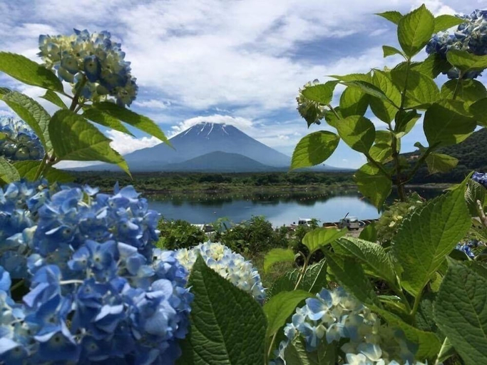 Others 3, Shoji Mount Hotel, Fujikawaguchiko