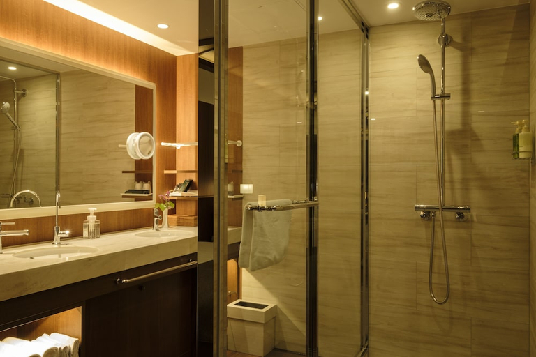 Bathroom 3, Ibusuki Hakusuikan, Ibusuki