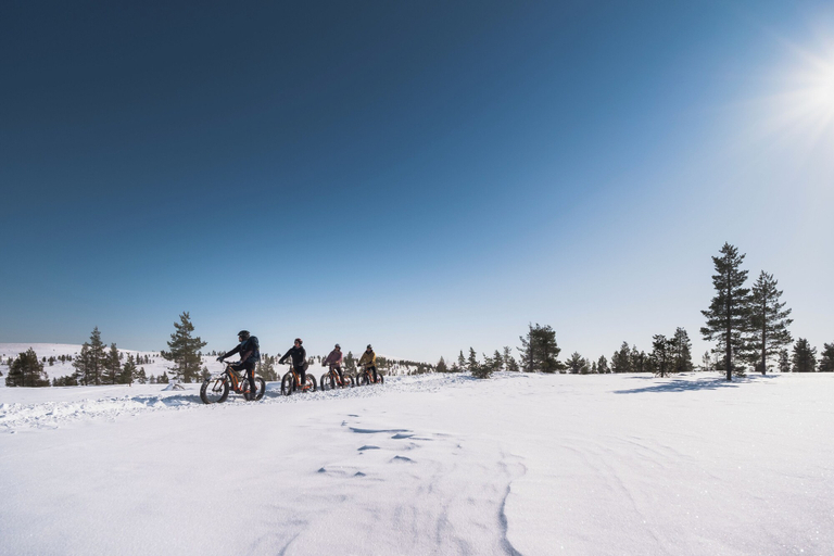 Bicycling 3, Saariselkä Kelo Lodge, Lapland