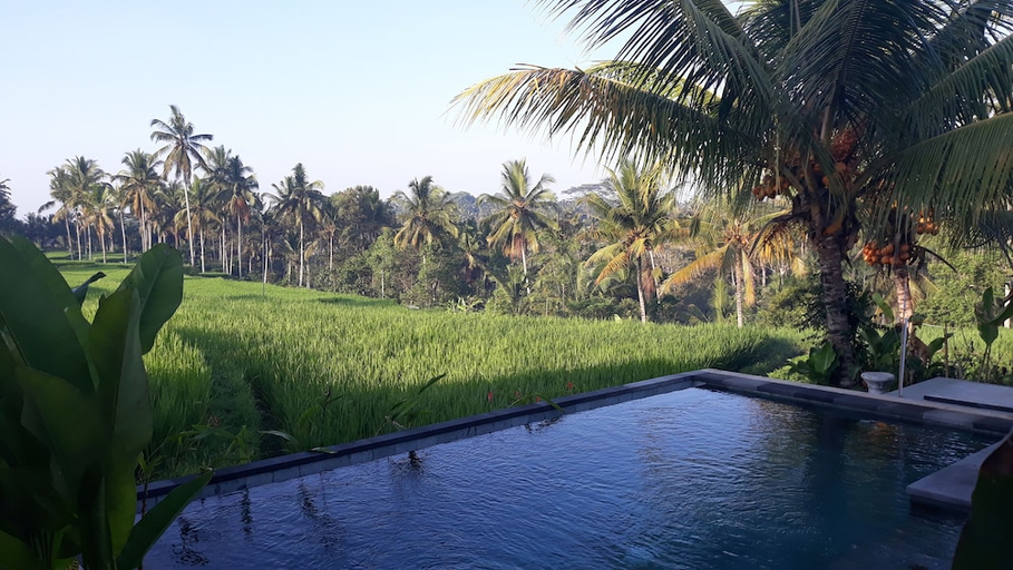 pool 18