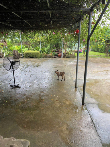 Others 5, Mi House Nghia Lo Yen Bai, Nghĩa Lộ