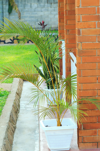 Terrace/patio, Kandez Holiday Home, Entebbe