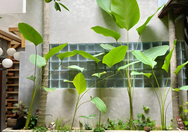 Others 3, 5 homestay, Vũng Tàu