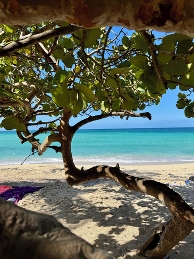 Beach 4, Roatan Infinity Pool & Ocean View, Roatán