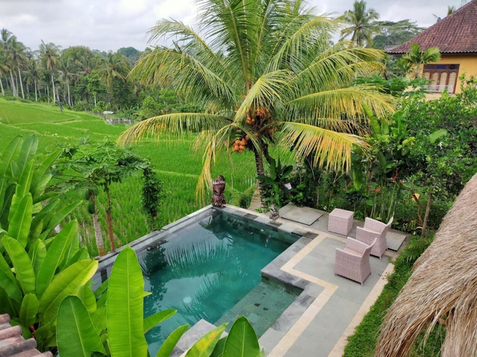 pool 4