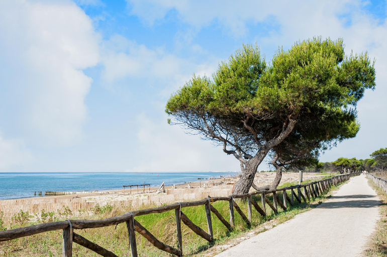 5, Villa with outdoor patio and fireplace, Venezia