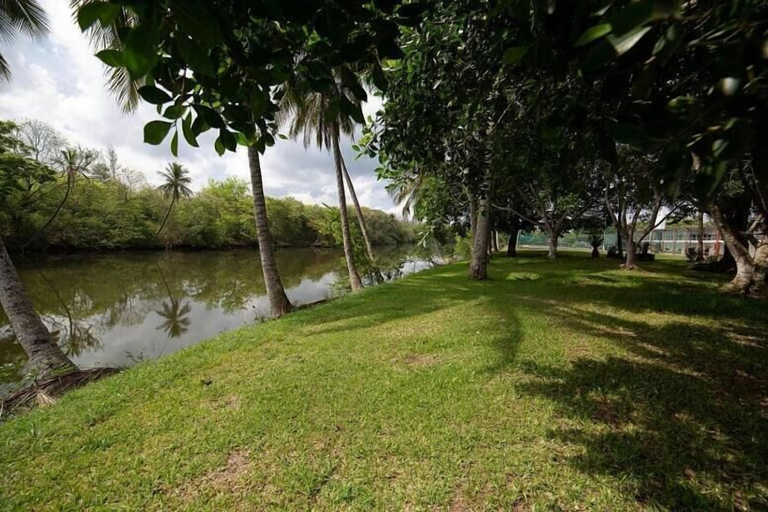 Others 5, Hotel Plaza Palmas, Tuxpan