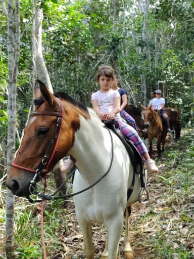 Others 5, Pousada Rancho Sêmani, Itacaré