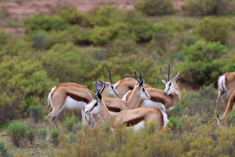 Hiking, Goats Window Luxury Safari Lodge Self-Catering Collection, Cape Winelands