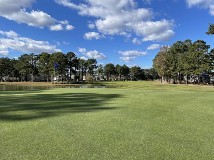 Golf 5, 2909l Studio, Brunswick