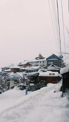 Primary image, Aarav Chaaras Homestay, Kinnaur