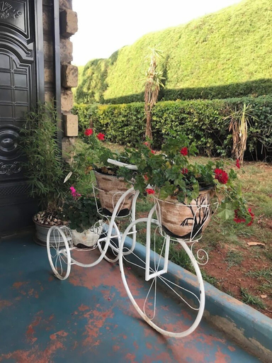 Exterior 2, The Blubird Guest House Kitale, Kiminini