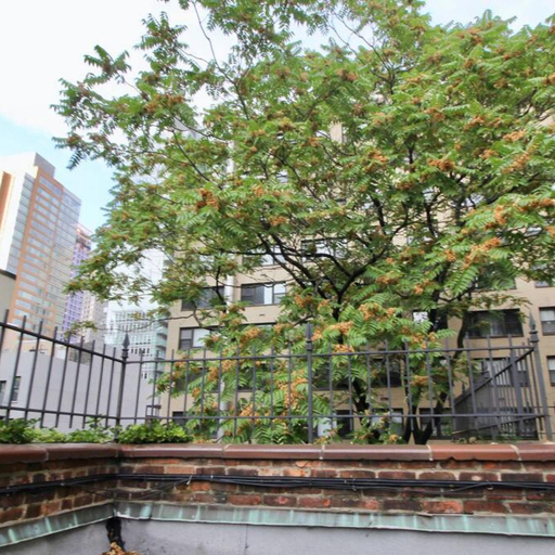 Room 2, Private Penthouse w Roof Oasis, New York