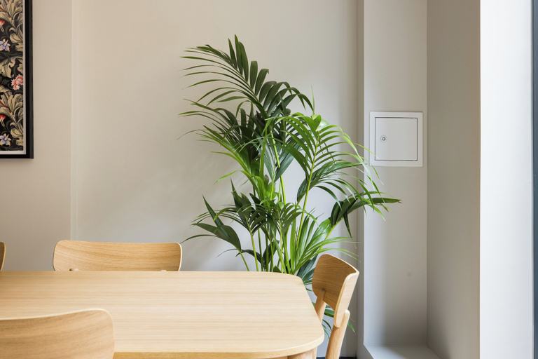 Others 5, Covent Garden Apartments, London