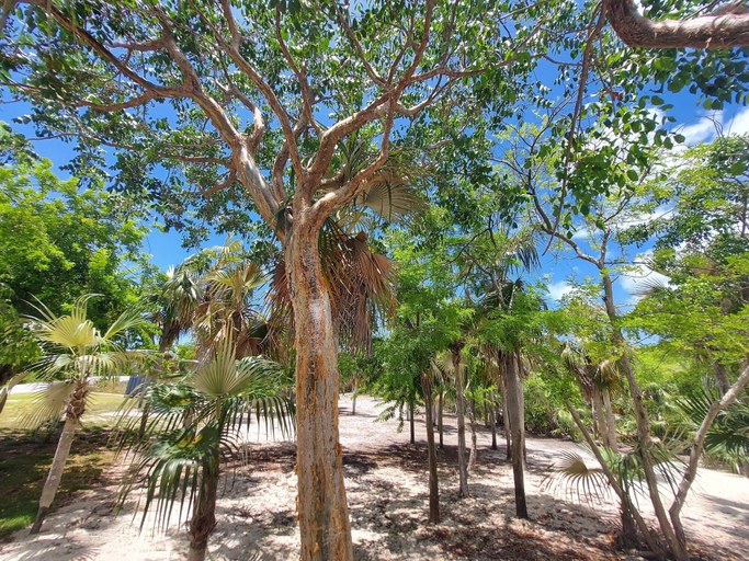 Miscellaneous 4, Silver Palms - Brand New Designer Home On Banks Road 2 Bedroom Home